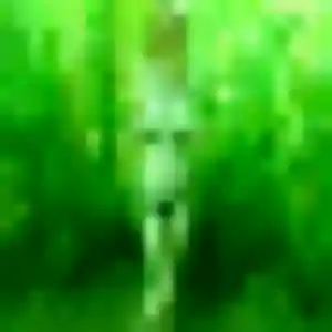 Photo perso de Salima, 41 ans à Saint-Pol-de-Léon - rencontre sans lendemain