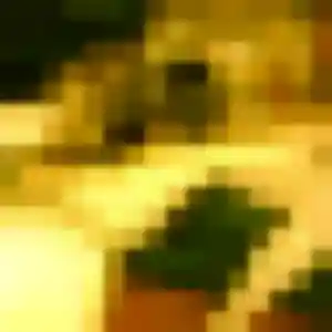 Ninon (33 ans) à Saint-Rémy-de-Provence cherche un plan cul aujourd'hui