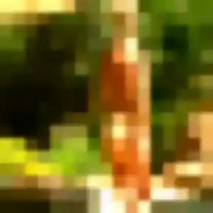 Uranie (29 ans) à Saint-Renan cherche une rencontre ce soir