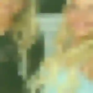 Constance, 36 ans, cherche un plan cul à Saint-Saulve