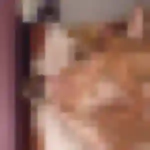 Blandine, fille de 28 ans veut plan cul à Saint-Sébastien-de-Morsent