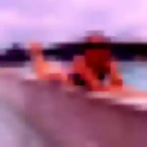 Rencontre Dana, 34 ans à Saint-Sébastien-de-Morsent gratuitement