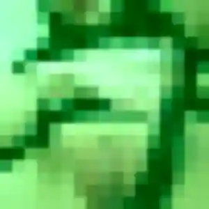 Charmante Patricia, 33 ans à Saint-Sulpice-la-Pointe - découvrir son profil