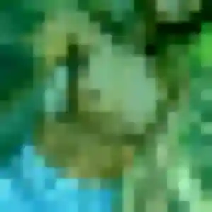 Photo privée de Natacha, 32 ans à Saint-Symphorien-d'Ozon - plan discret