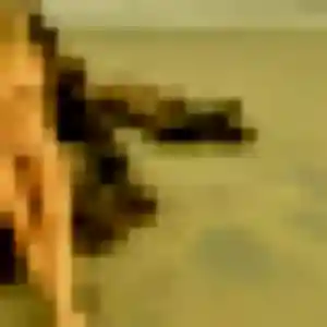 Contacte Gaia, 36 ans à Saint-Vallier gratuitement