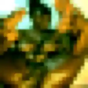 Yolande, 43 ans, veut un plan cul à Saint-Zacharie