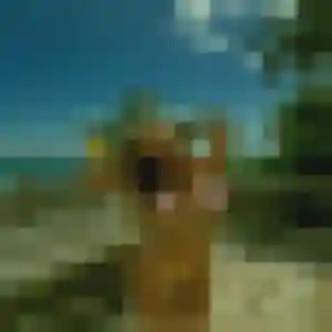 Contacte Marie-Christine, 23 ans à Sainte-Foy-lès-Lyon gratuitement