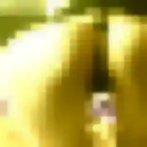 Roxane de Sainte-Geneviève-des-Bois, 35 ans - plan cul sans lendemain