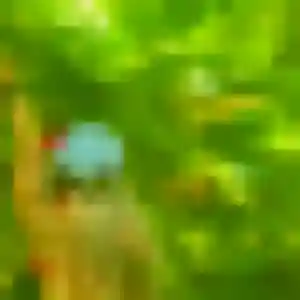 Rejoins Inaya, 38 ans à Sainte-Marie en privé