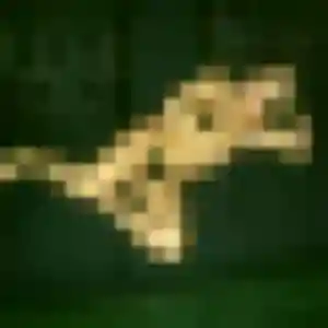 Photo de Oumaima à Sainte-Marie (35 ans) - plan cul discret