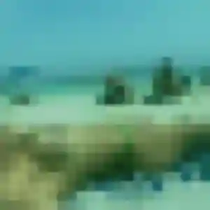 Jolie Romane, 21 ans à Sainte-Pazanne - la contacter