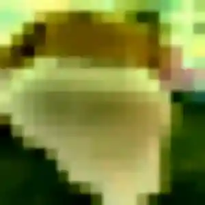 Agnes de Sainte-Rose, 21 ans - plan cul en toute liberté