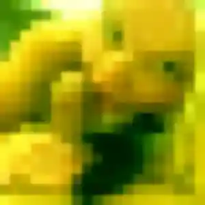 Graziella, 24 ans, disponible à Sainte-Rose pour une rencontre coquine