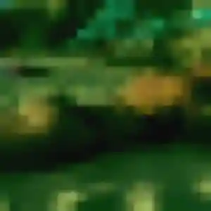 Louisa (39 ans) à Sainte-Rose propose un plan cul maintenant