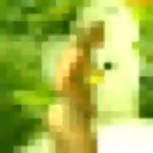 Lisa, 41 ans, disponible à Sainte-Sigolène pour un plan cul