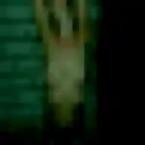 Photo de Jihane à Saintes (20 ans) - plan cul sans inscription