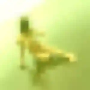 Yolande de Sallaumines, 23 ans - plan cul discret