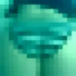 Profil de Fleur à Sanary-sur-Mer (19 ans) - plan cul anonyme