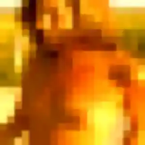 Photo exclusive de Jennifer, 21 ans à Sannois - rencontre coquine