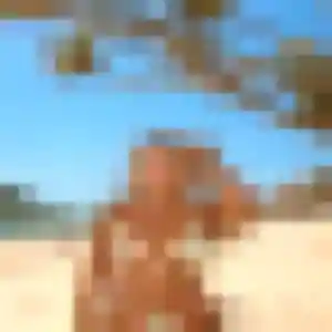 Charmante Delice, 27 ans à Saran - la contacter