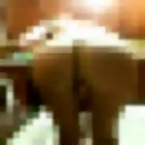 Francine, fille de 39 ans propose plan cul à Saran