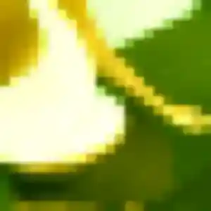 Photo de Natacha à Sarcelles (34 ans) - plan cul discret