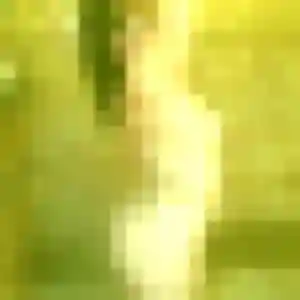 Profil de Eleonore à Sarzeau (22 ans) - plan cul sans inscription