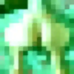 Laura, femme de 41 ans veut plan cul à Saulx-les-Chartreux