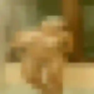 plan cul à Saumur : profil de Iris, 27 ans - accès libre