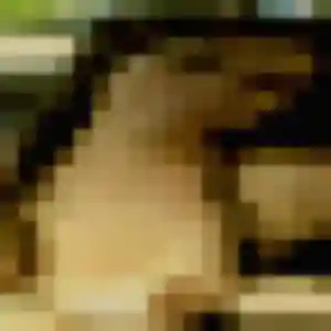 Ivana, 29 ans, dispo pour plan cul à Sausheim