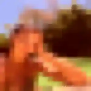 Berengere, fille de 40 ans cherche plan cul à Sauvian