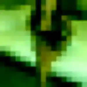 Jolie Sabine, 42 ans à Scaër - voir sa photo