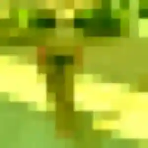 Profil de Adelaide à Sciez (26 ans) - plan cul anonyme