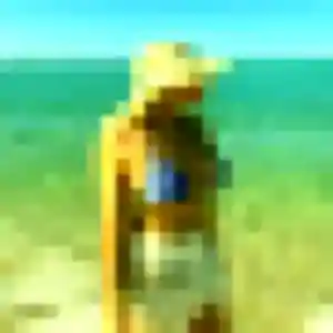 Eva, 23 ans, en ligne à Sélestat pour une rencontre coquine