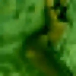 Josephine (26 ans) à Séné cherche une rencontre aujourd'hui