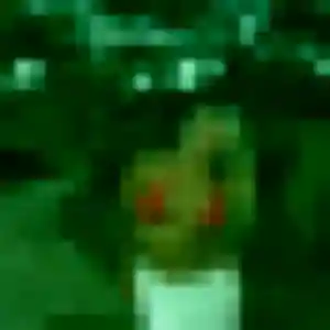 Eliane (37 ans) à Senlis attend une rencontre maintenant