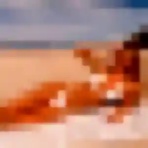 Photo de Vicky à Sète (22 ans) - plan cul anonyme