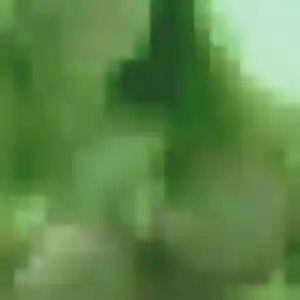 Rencontre Celine, 27 ans à Sèvres gratuitement