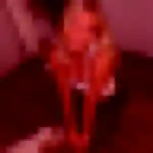 Rencontre Gladys, 45 ans à Somain gratuitement