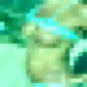 Photo de Jessica à Sorgues (27 ans) - plan cul gratuit