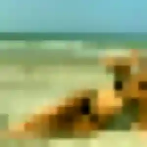 Belle Karine, 37 ans à Souffelweyersheim - voir sa photo