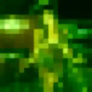 Muriel (26 ans) à Soultz-Haut-Rhin propose un plan cul maintenant