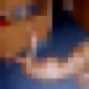 Rencontre Eglantine, 38 ans à Tain-l'Hermitage en privé