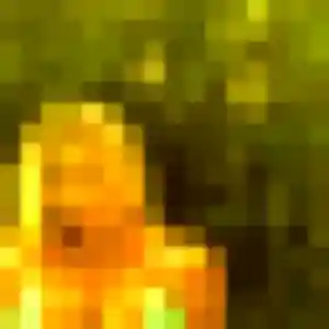 Photo de Emmanuelle à Talence (29 ans) - plan cul sans inscription