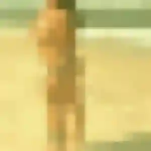 Charmante Victoire, 29 ans à Talmont-Saint-Hilaire - voir sa photo