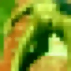 Daphne, fille de 37 ans cherche plan cul à Tarascon