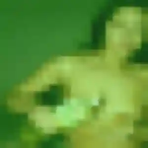 Rencontre Nina, 30 ans à Tassin-la-Demi-Lune en privé