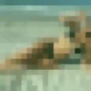 Photo de Zoe à Templeuve-en-Pévèle (29 ans) - plan cul sans inscription