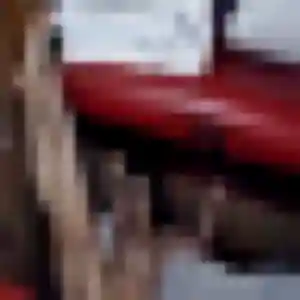 Rencontre Rym, 28 ans à Terrasson-Lavilledieu en privé