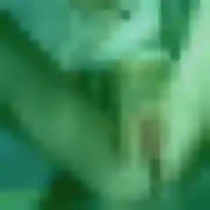 Erika, 20 ans, dispo pour plan cul à Terville